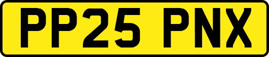 PP25PNX