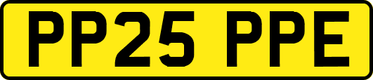 PP25PPE