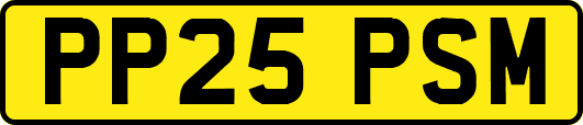 PP25PSM