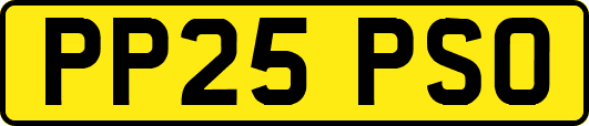 PP25PSO