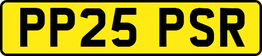 PP25PSR