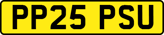PP25PSU