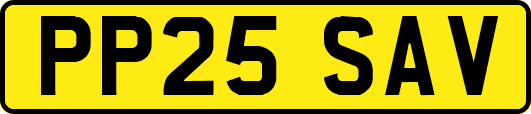 PP25SAV