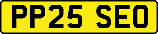 PP25SEO