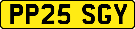 PP25SGY