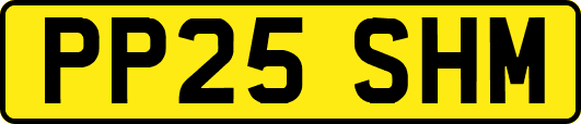 PP25SHM