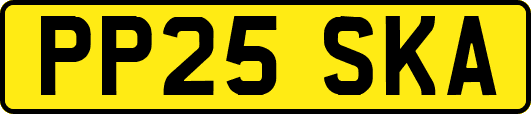 PP25SKA