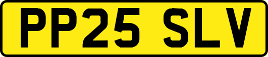 PP25SLV