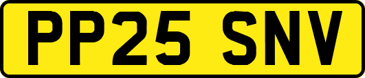 PP25SNV