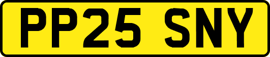 PP25SNY