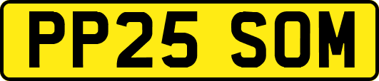 PP25SOM