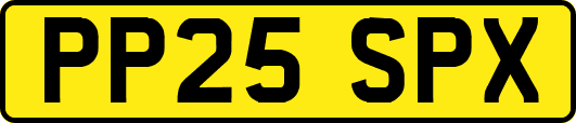 PP25SPX