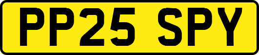 PP25SPY