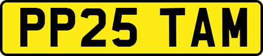 PP25TAM