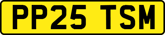 PP25TSM