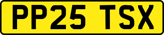 PP25TSX