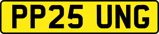 PP25UNG