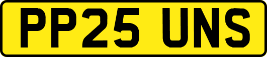 PP25UNS