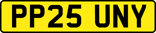 PP25UNY