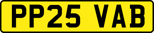 PP25VAB