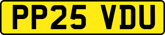 PP25VDU