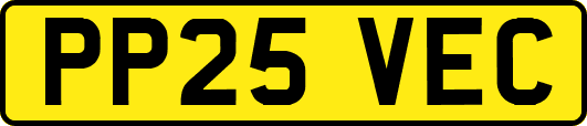 PP25VEC