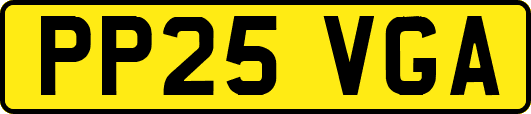 PP25VGA