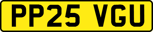 PP25VGU