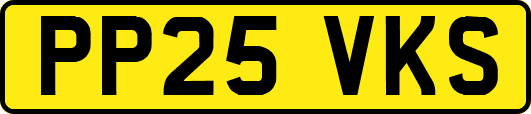 PP25VKS