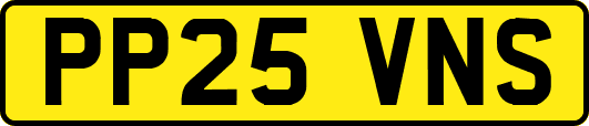 PP25VNS