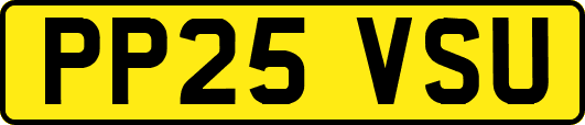PP25VSU