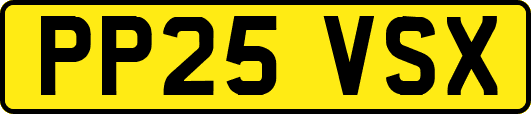 PP25VSX
