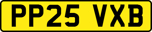 PP25VXB
