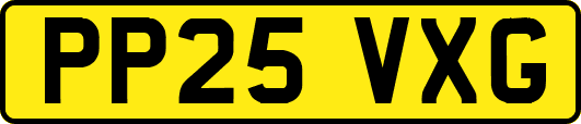 PP25VXG
