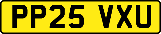 PP25VXU