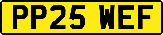 PP25WEF