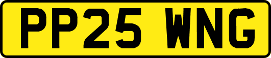 PP25WNG