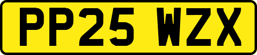 PP25WZX