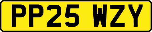 PP25WZY