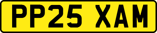 PP25XAM