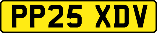 PP25XDV
