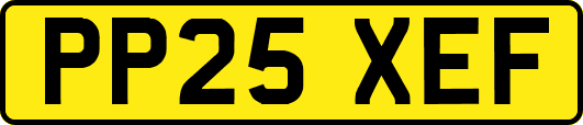 PP25XEF