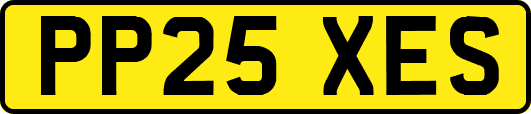 PP25XES