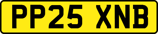 PP25XNB