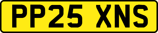PP25XNS