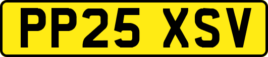 PP25XSV
