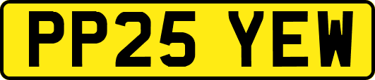 PP25YEW
