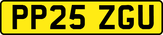 PP25ZGU