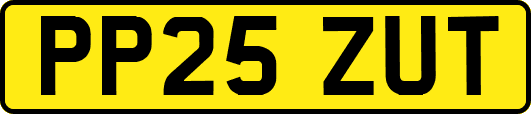 PP25ZUT