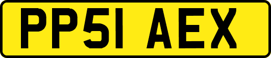 PP51AEX